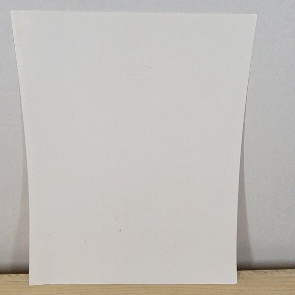 Trinity River Boys Autographed Picture - Picture 2 of 4